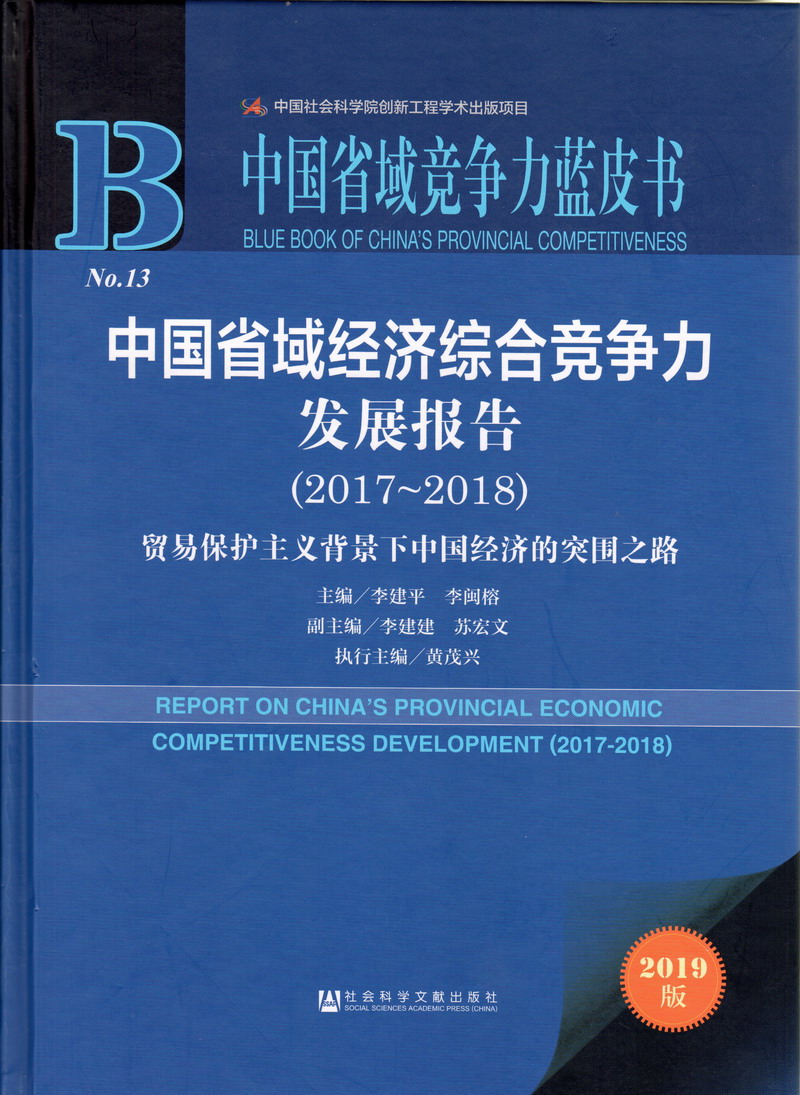 日逼动态视频中国省域经济综合竞争力发展报告（2017-2018）